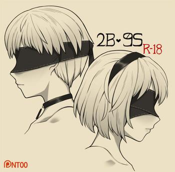 2b 9s cover 1