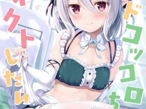 maid kokkoro chan to connect shitai cover 1