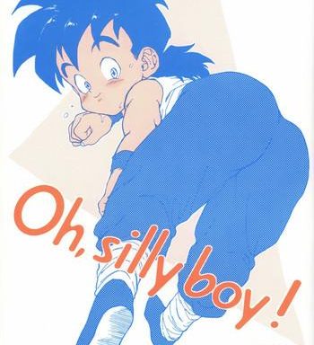 oh silly boy cover