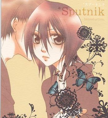 sputnik introduction cover