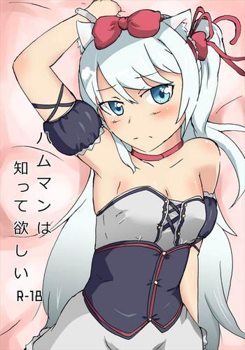 hammann wa shitte hoshii cover