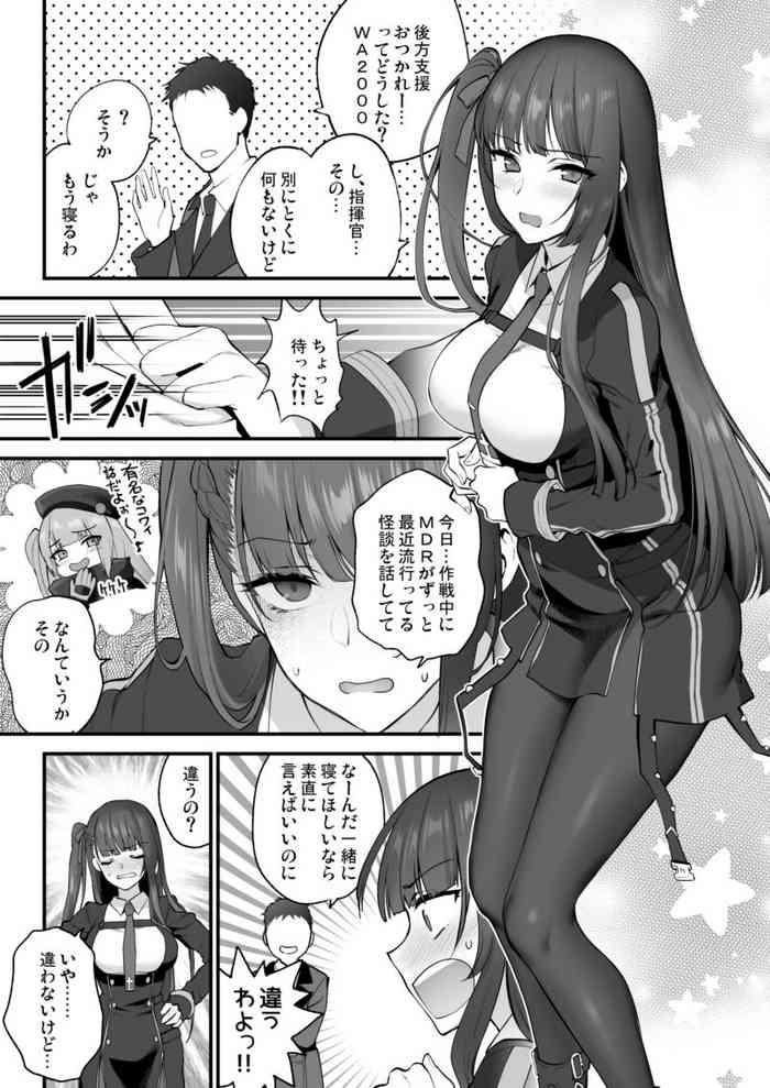 wa2000 cover 1