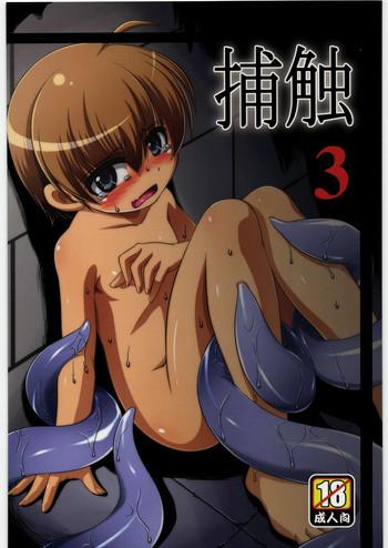 hoshoku 3 cover