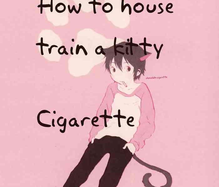 heya o yogosu neko no shitsukekata cigarette how to house train a kitty cigarette cover