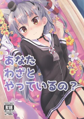 anata wazato yatteiru no cover