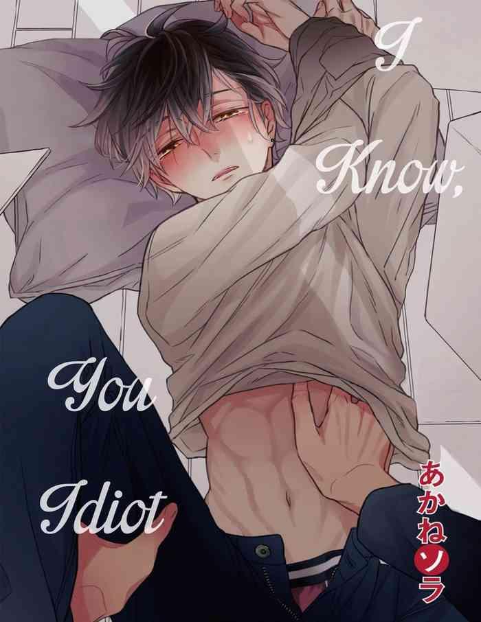 baka da ne shitteru yo i know you idiot cover