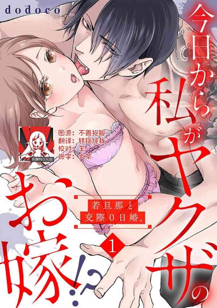 dodoco kyou kara watashi ga yakuza no oyome wakadanna to kousai 0 nichi kon vol 1 3 chinese cover