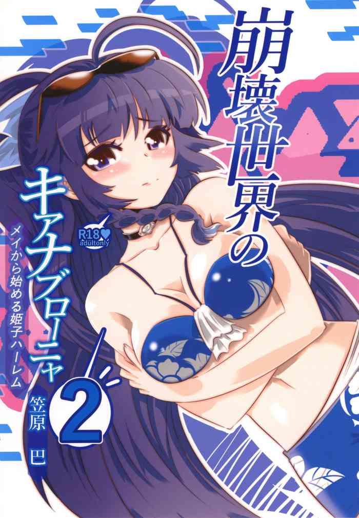 himeko harem 2 starting with the honkai world of kiana bronya cover