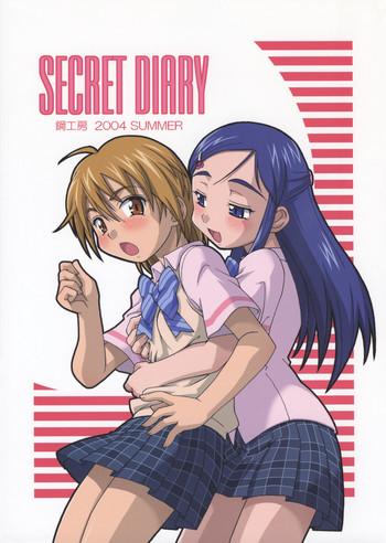 secret diary cover