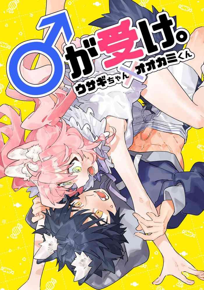 pink carrot usachanget ga uke usagi chan x ookami kun chinese cover