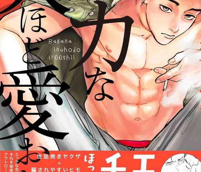 baka na inuhodo itooshii ch 2 cover