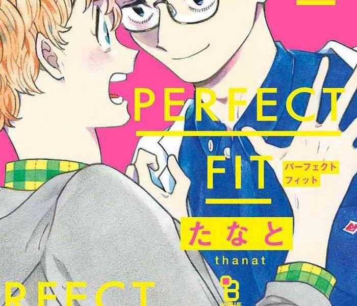 perfect fit ch 1 8 cover